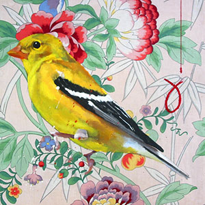 Female American Goldfinch bird painting by Dennis Witnauer