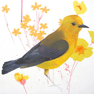 Prothonotary Warbler bird painting by Dennis Witnauer